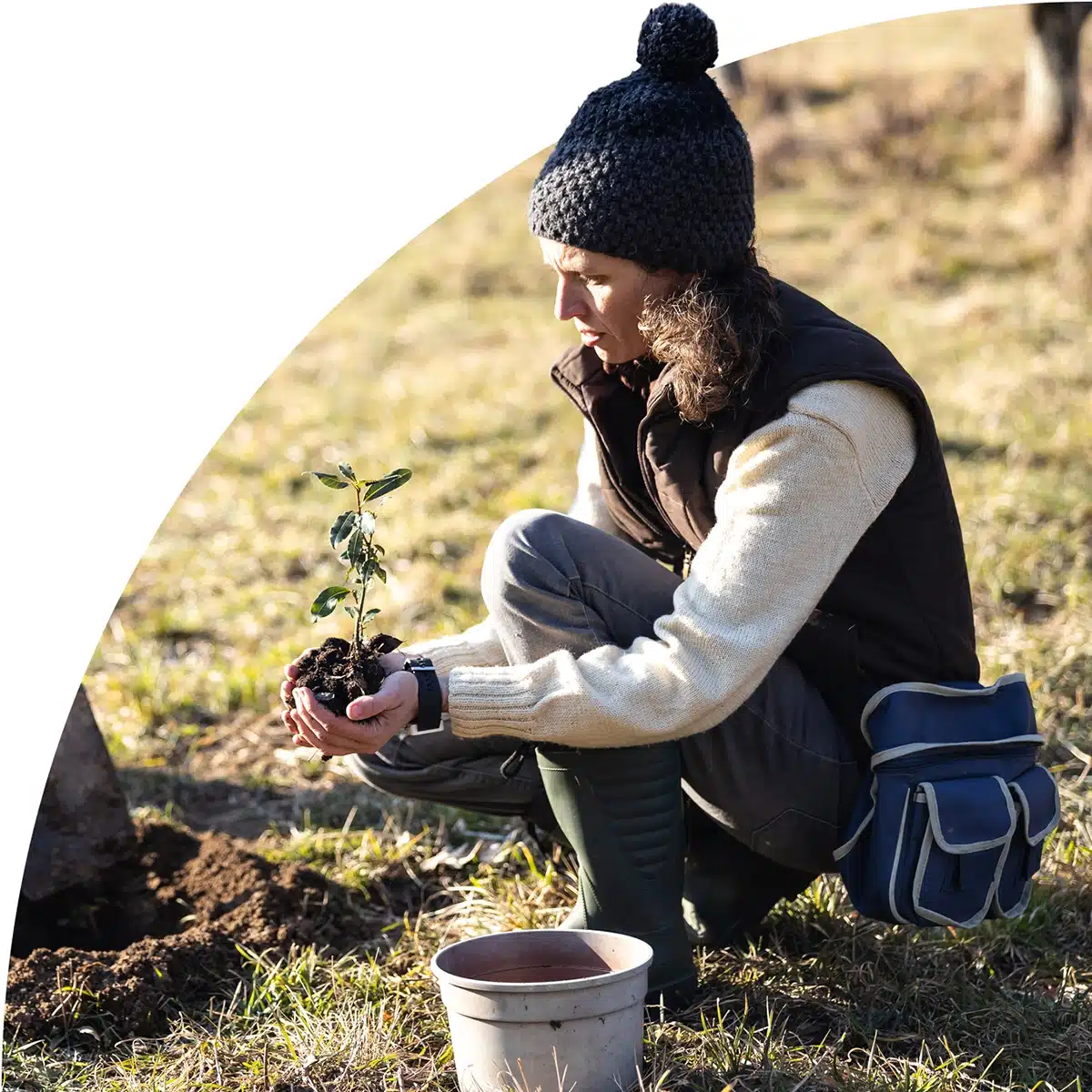 A person in warm clothing crouches in a grassy field, holding a young sapling near a hole in the ground, preparing to plant it as part of a reforestation or conservation effort.